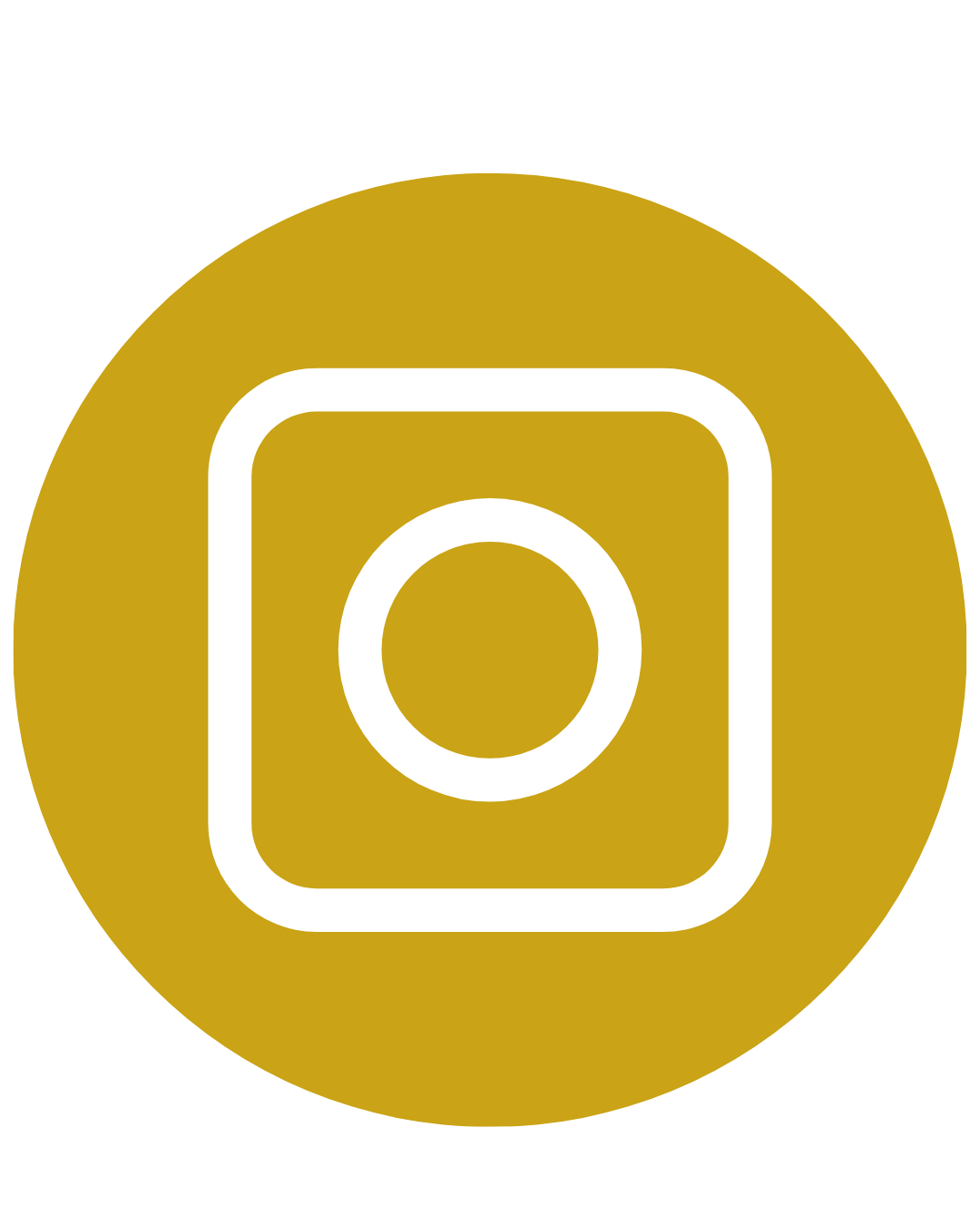 Ícone Instagram
